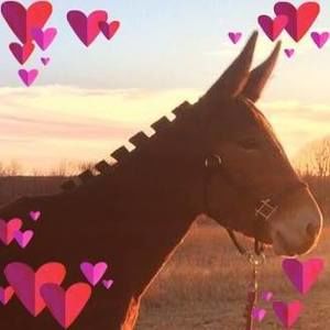 Meet your Posher, Maggie